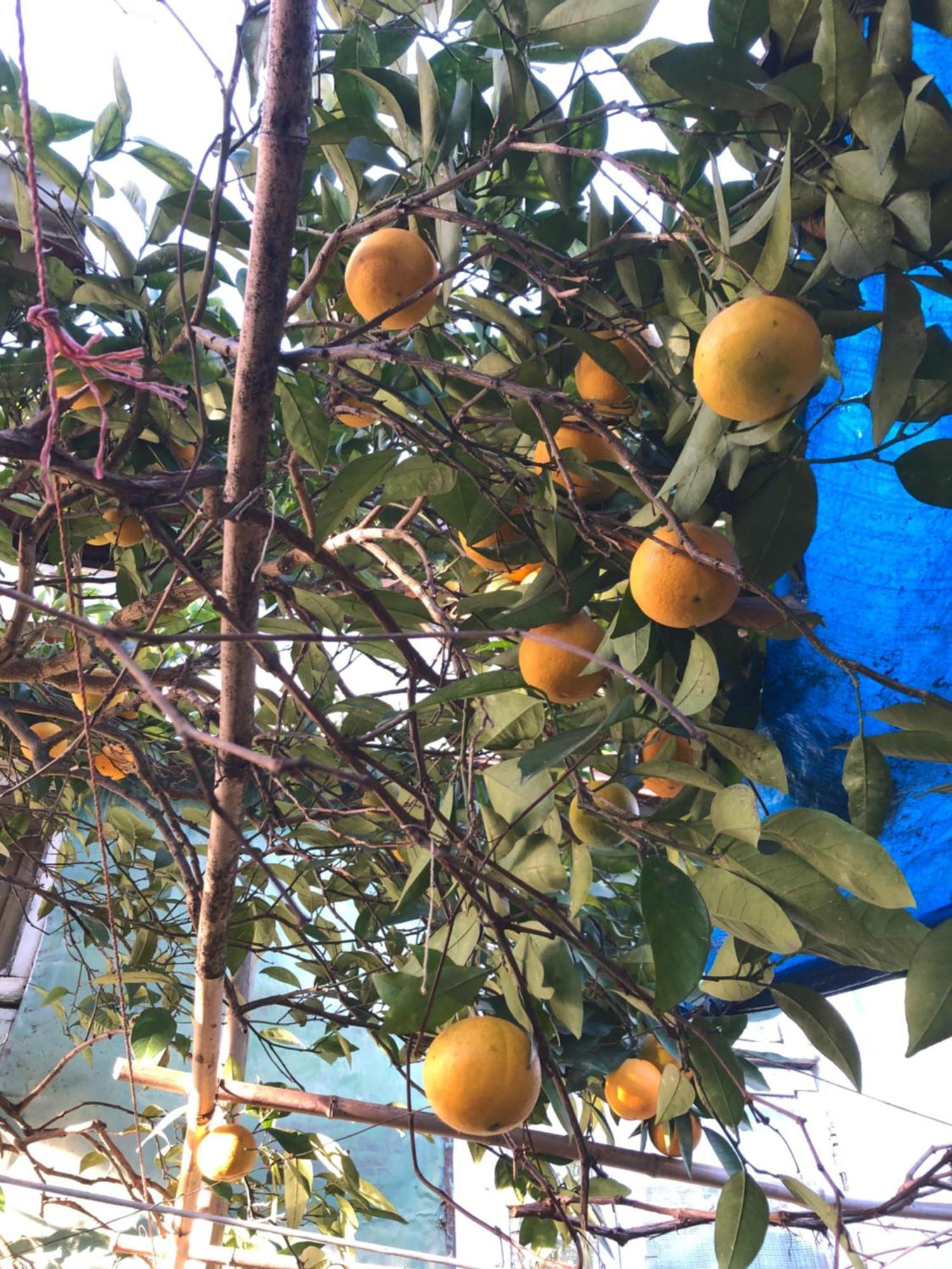 Guesthouse Eco Chakvi Εξωτερικό φωτογραφία