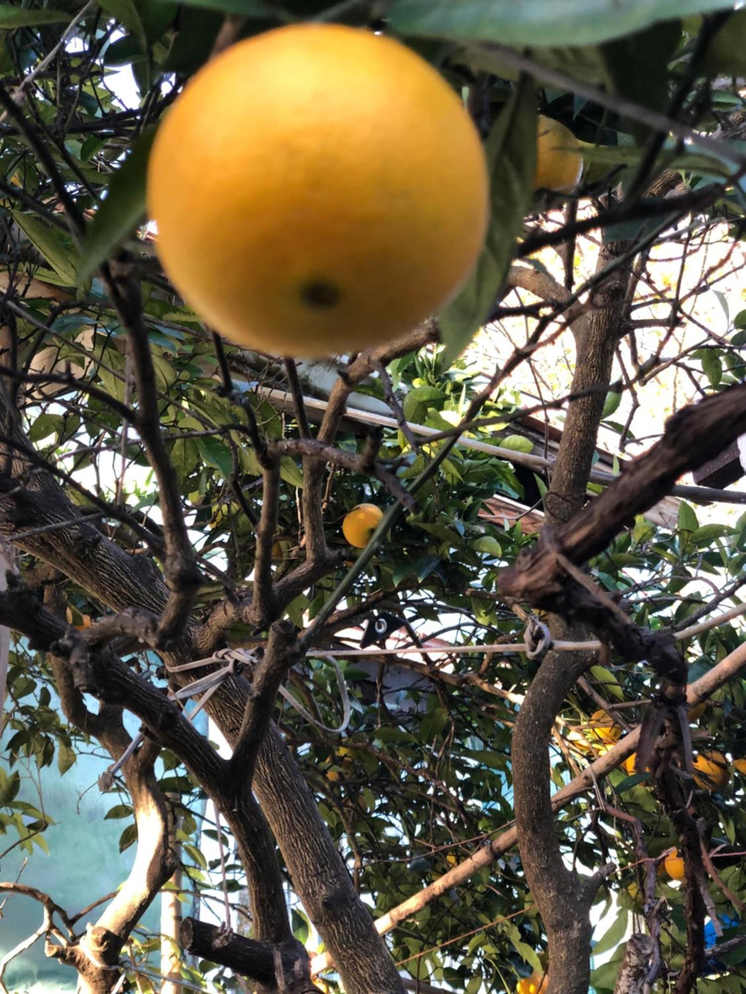 Guesthouse Eco Chakvi Εξωτερικό φωτογραφία