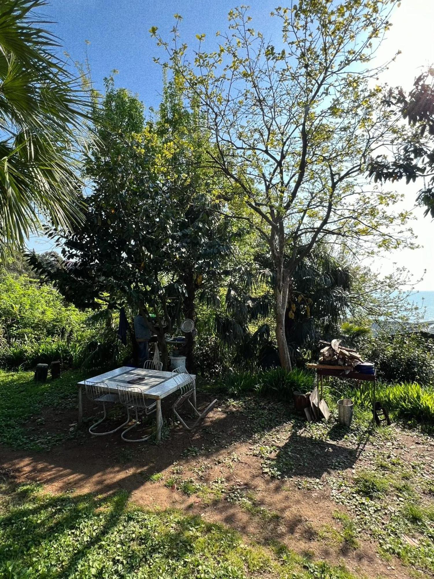 Guesthouse Eco Chakvi Εξωτερικό φωτογραφία