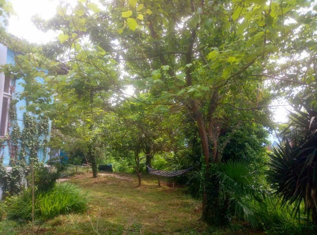 Guesthouse Eco Chakvi Εξωτερικό φωτογραφία