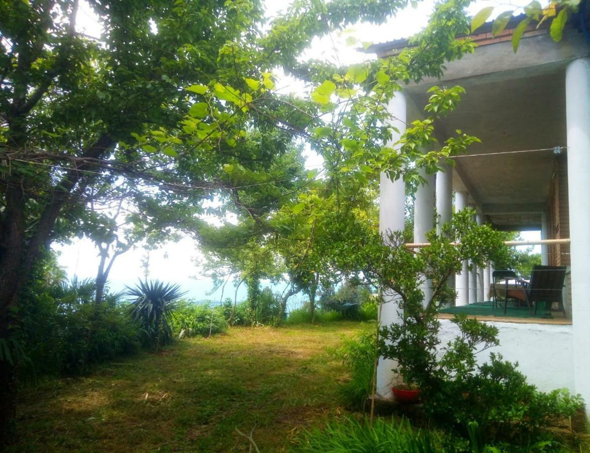 Guesthouse Eco Chakvi Εξωτερικό φωτογραφία
