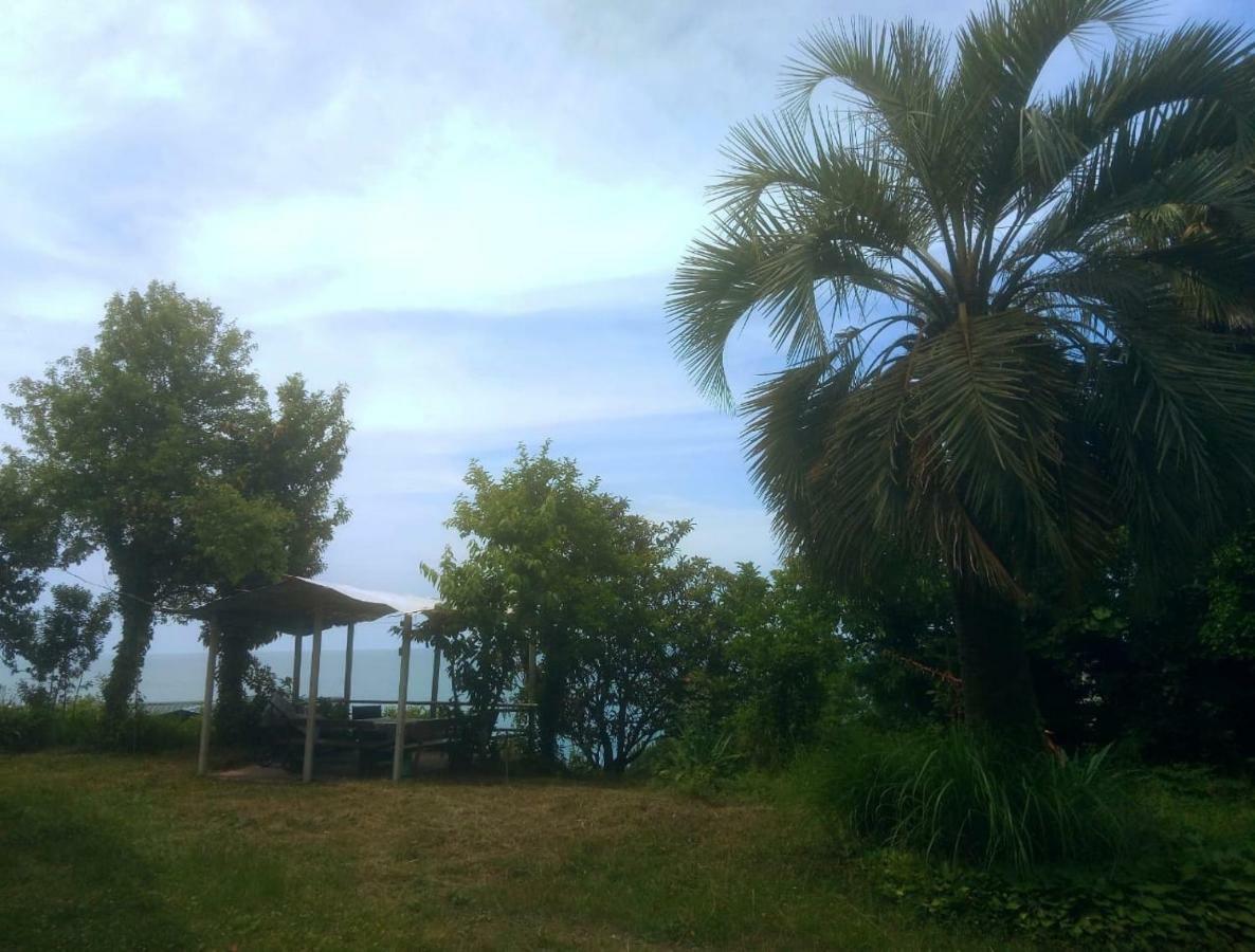 Guesthouse Eco Chakvi Εξωτερικό φωτογραφία
