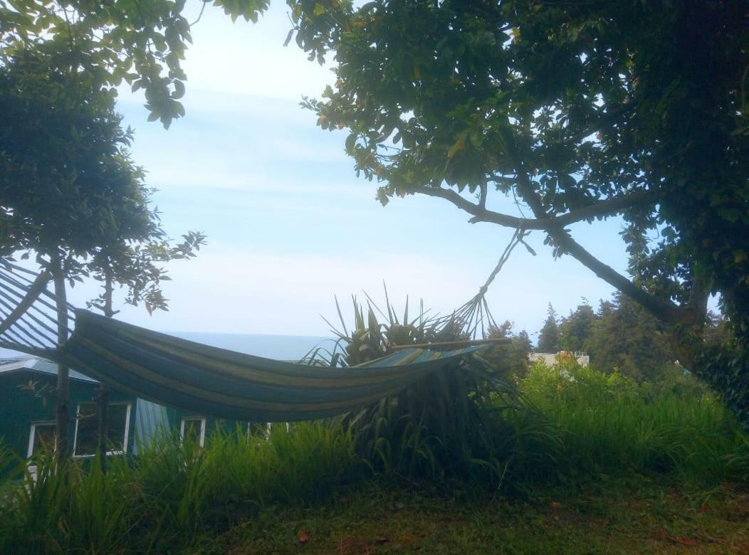 Guesthouse Eco Chakvi Εξωτερικό φωτογραφία